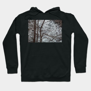 Bodetal, Thale, Harz, Saxony-Anhalt, Germany Hoodie